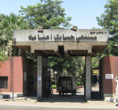 وفاة 3 أطفال وإصابة 8 بفيروس غامض بالقاهرة.jpg