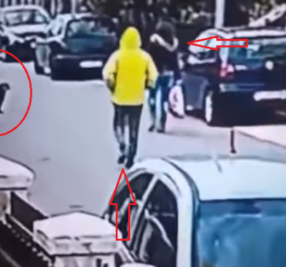 كلب يحمي سيدة من لص في الشارع !