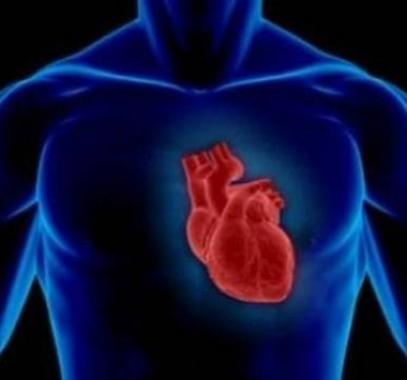 تدبر واعجاز في آية : ما جعل الله لرجل من قلبين في جوفه !!