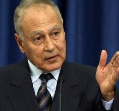 ابو الغيط.jpg