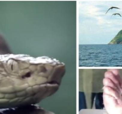 بالفيديو مرعب : أخطر جزيرة في العالم... 'الجزيرة الدموية'!