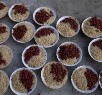 طبق واحد يكشف 'التفاوت الصارخ' بسعر الطعام بين دول العالم