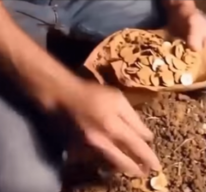 أروع لحظات اكتشاف الذهب .. 'يرزق من يشاء'