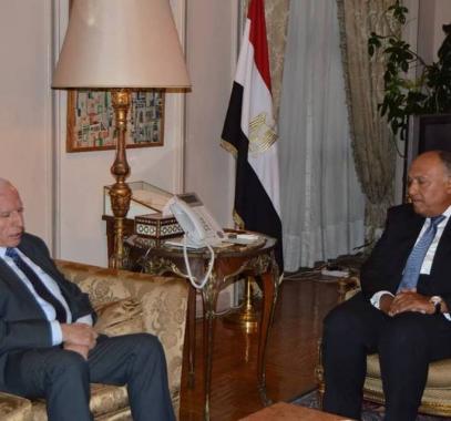 تفاصيل لقاء وزير الخارجية المصري مع عزام الأحمد بالقاهرة
