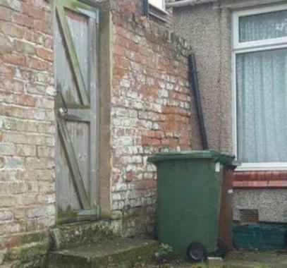 شاهدوا :هل تستطيع إيجاد الحيوان المختبئ في هذه الصورة!