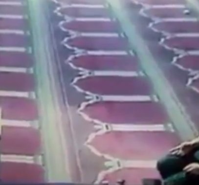 بالفيديو : تظاهر بالصلاة أمام الجميع والكاميرات... لكن ما فعله صادم!