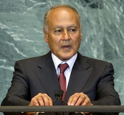 أبو الغيط يؤكد على ضرورة مواجهة التواجه المنطقة العربية