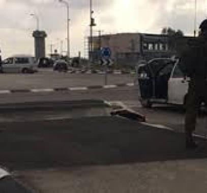 البحث عن فلسطيني