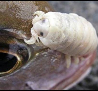 d4-jpg-93747164950152406