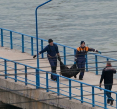 روسيا خلل فني أدى لتحطم طائرة توبولوف 154