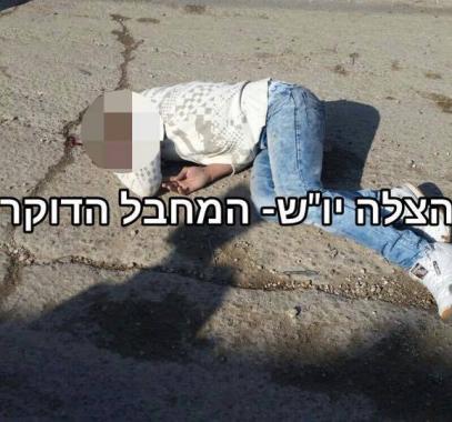 12196231_1026773464066221_3981372435492371167_n