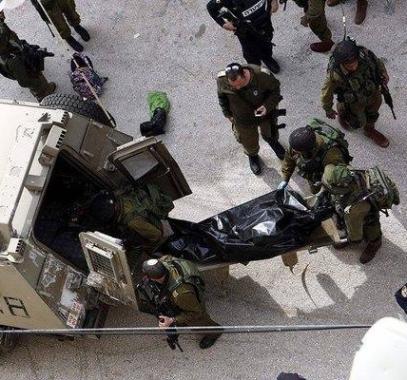 ebf49c11521075fcb3f3d11fd72ea080