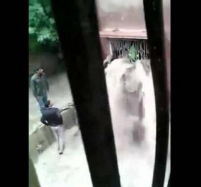 capture-jpg-91434548915498697