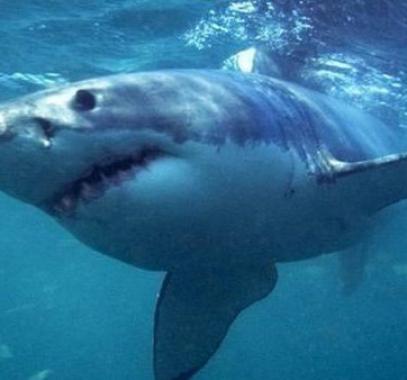 8a35c8d1-a891-4ee5-84c7-834dfc1d39c0_16x9_600x338