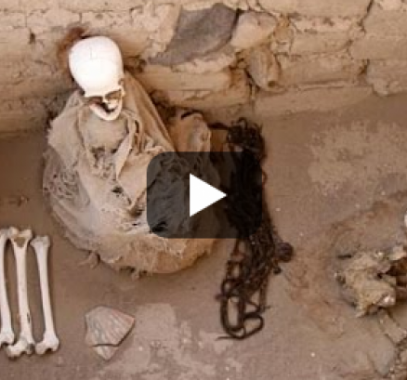 8g-png-81478605834715396