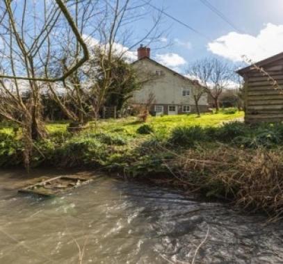 أرادت تنظيف قناة ماء حديقتها..فوجدت مخلوق حي منذ200 مليون سنة   