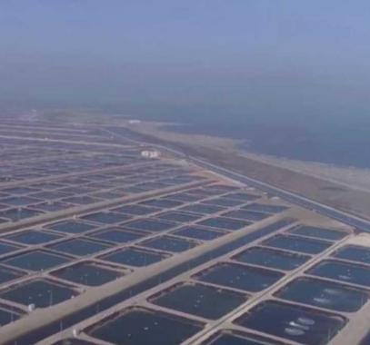 بركة غليون المصرية.. تفاصيل أضخم مدينة 