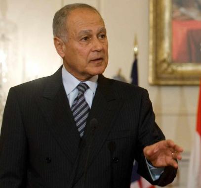 أبو الغيط يؤكد على ضرورة التمسك بالثقافة العربية