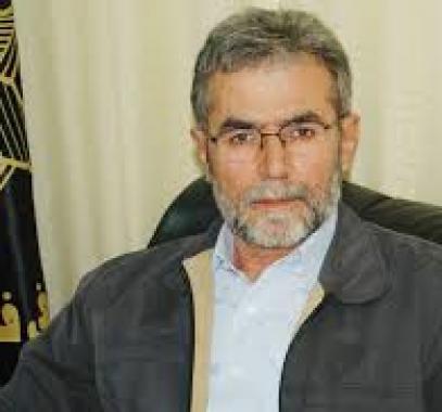 تنزيل (53)