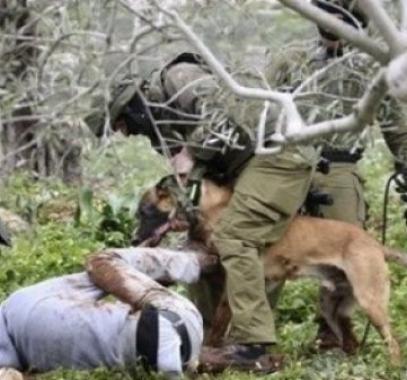 5abf31072ce4613e8917aba36444c318