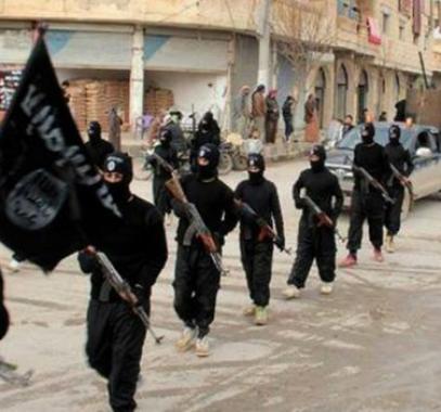 تنظيم الدولة