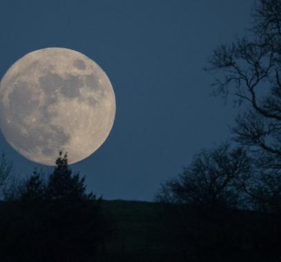 5 فرق تتنافس من أجل 