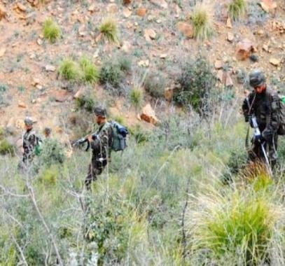 345cd31d0ff1aab379242efd162c8eff_XL