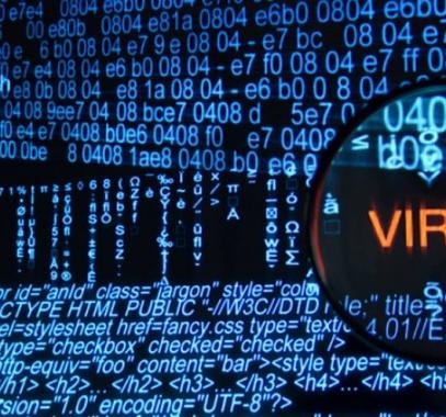 elbashayer-image-1470079002-1-jpg-26244437189235931