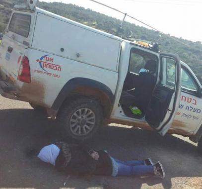 1474397_1059014064175494_2503486715241760260_n