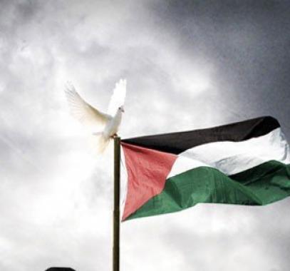 الوكالة الفلسطينية للتعاون الدولي تبدأ برنامج التعاون الطبي مع زمبابوي