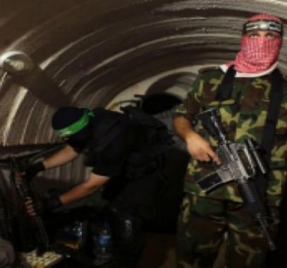 156b1a7cd6fa7a_QMNJKHFPOLGEI