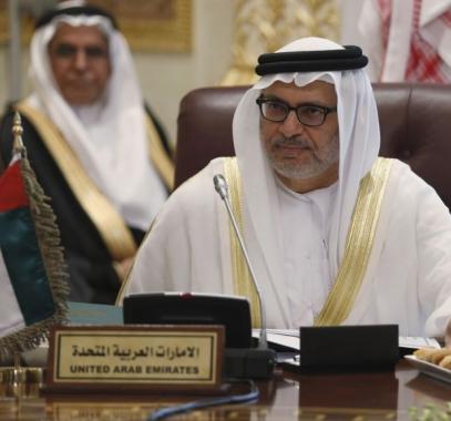 وزير الدولة الإماراتي حل حماس اللجنة الإدارية قرار صائب.jpg