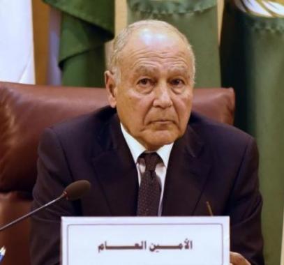 أبو الغيط