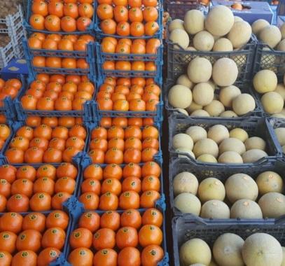 إيران ترسل أول شحنة غذائية لقطر جوًا