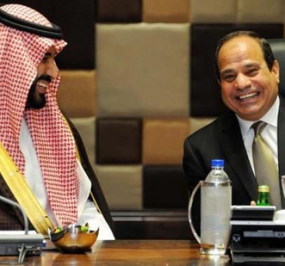 مشروع سعودي للإستثمار في أراضي جنوب سيناء