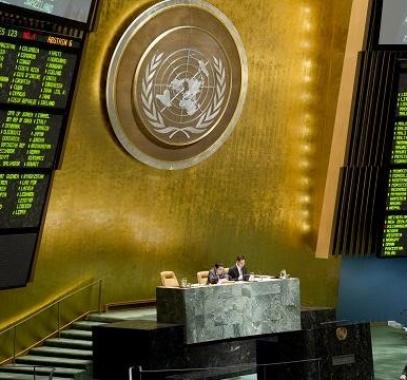 الامم المتحدة