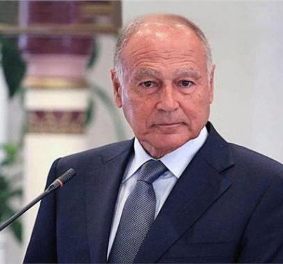 أبو الغيط يكشف عن موقف دول عربية من عودة 