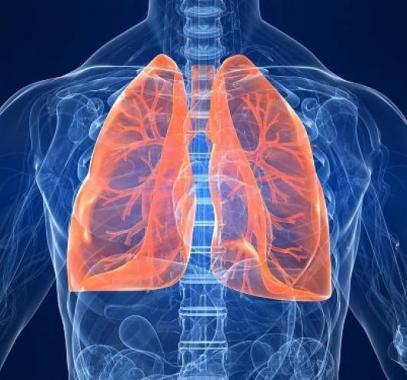 lungs-diagram-120926-jpg-78211957402288144.jpg