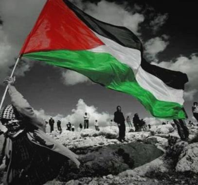 وليد زغلول أول فلسطيني يفوز بعضوية المجالس المحلية في بلجيكا