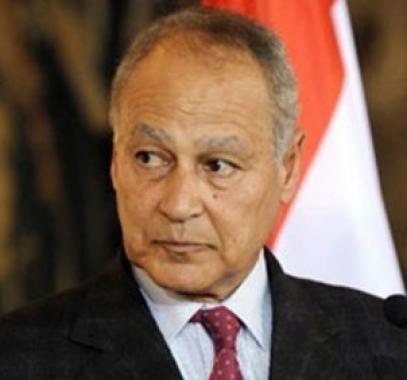 ابو الغيط.jpg
