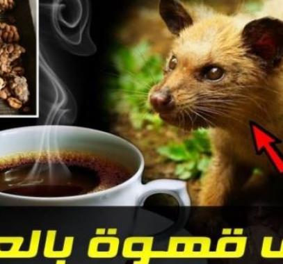 بالفيديو : هذه هي أغلى قهوة في العالم.. وطريقة صنعها ستفاجئك!