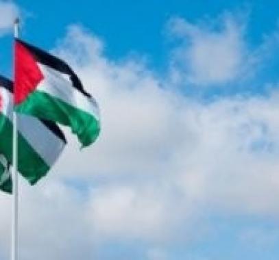انتخاب فلسطين نائب رئيس لاجتماع الدول الأطراف باتفاقية القضاء على كافة أشكال التمييز.jpg
