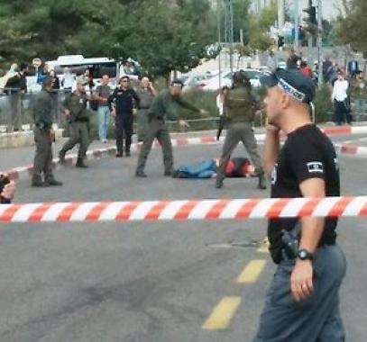 منفذي العمليات الفدائية.jpg