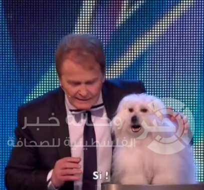 كلبة
