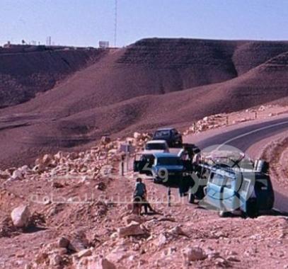 شارع-بمحاذاة-سيناء