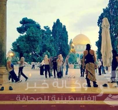 المسجد الأقصى 