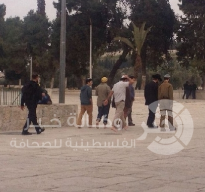 مستوطنين في باحات الاقصى