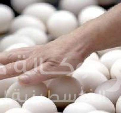 سرقة البيض في كوبا