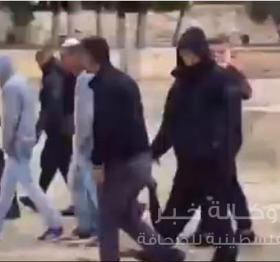 اقتحامات 