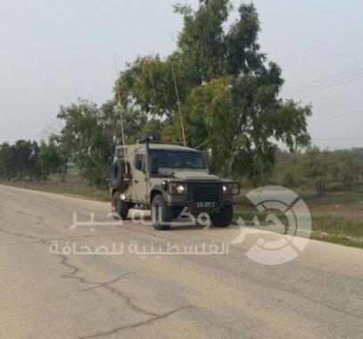 االاشجار حدود غزة